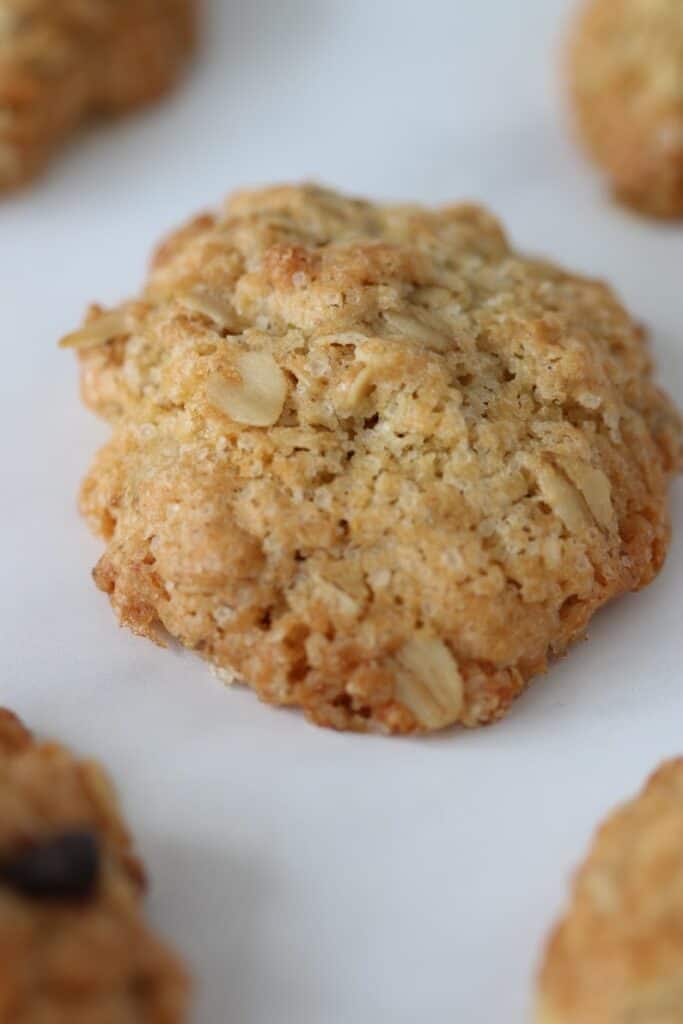close up on an oatmeal cookie
