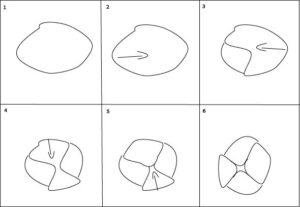 folding bread as envelop step by step drawings
