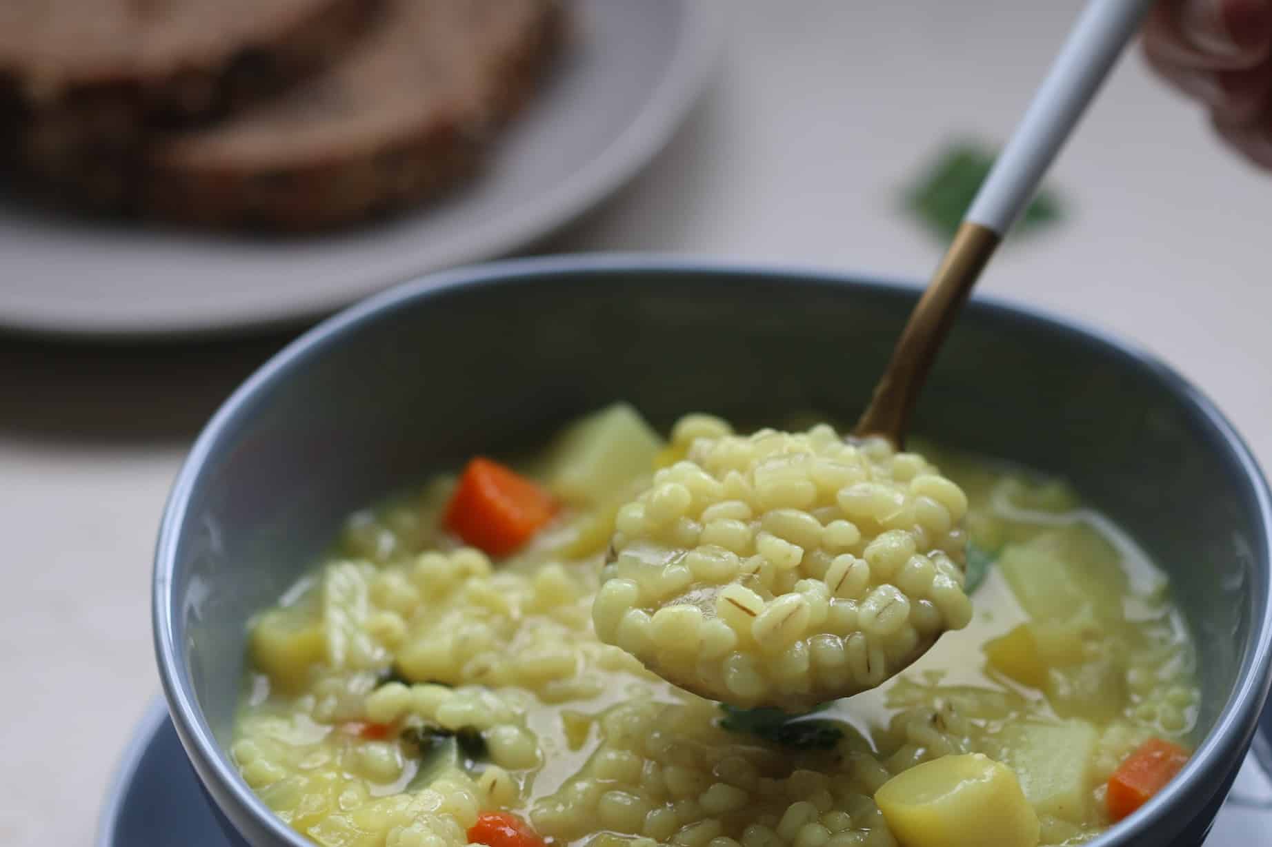 vegetable barley soup